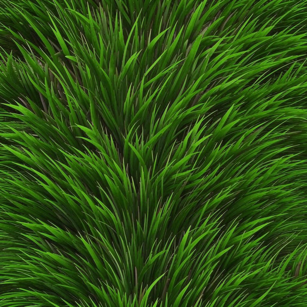 Текстура зеленая трава 10
