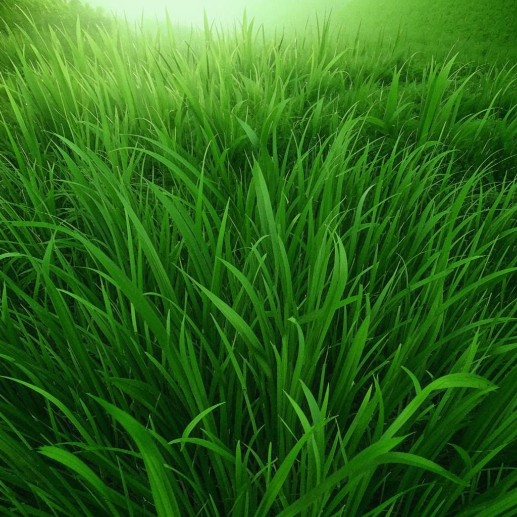 Текстура зеленая трава 15