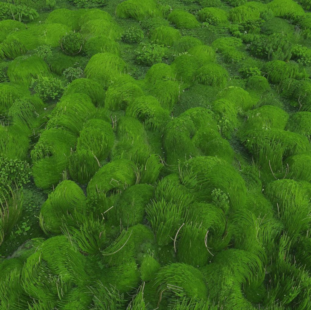 Текстура зеленая трава 22